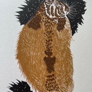 Marmotte D'anzeindaz - Jean Lurçat