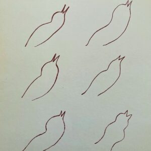 Oiseaux - Matisse Henri