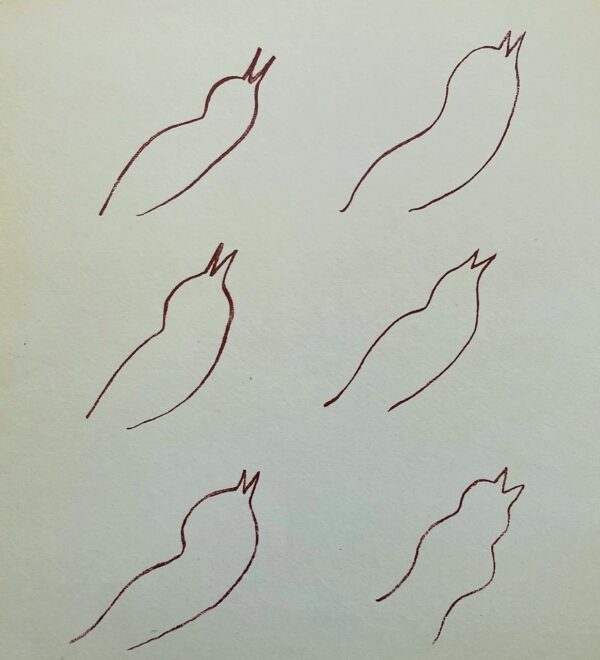Oiseaux - Matisse Henri