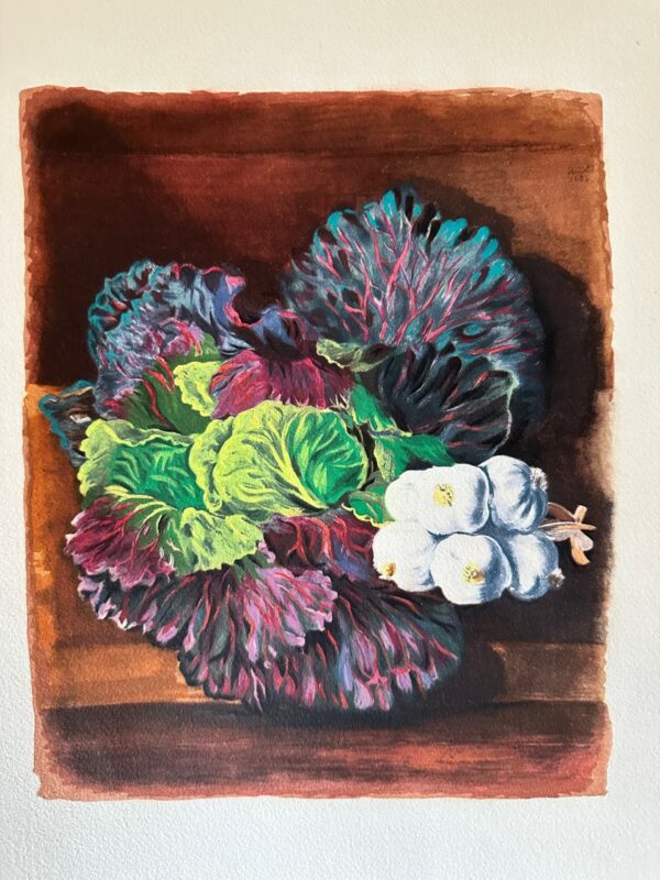 Nature Morte avec Chou et de L'ail - Kisling Moise