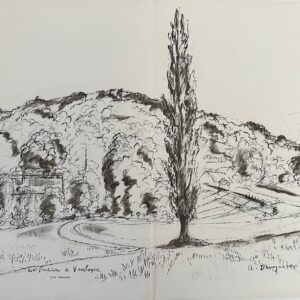 André Dunoyer De Segonzac - Lithographie