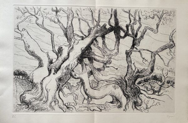 Langage des Arbres - Edouard Pignon
