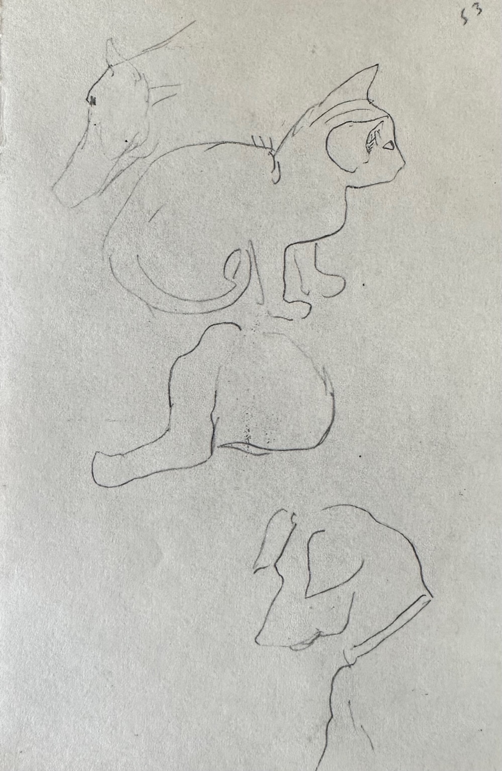 Animaux - Gauguin Paul – Image 1