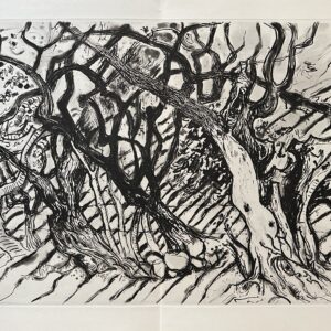 Langage de L'arbre - Édouard Pignon