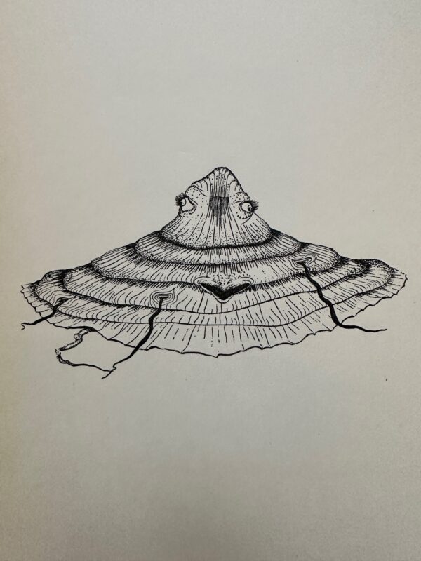 L'aplatigo - Félix Labisse